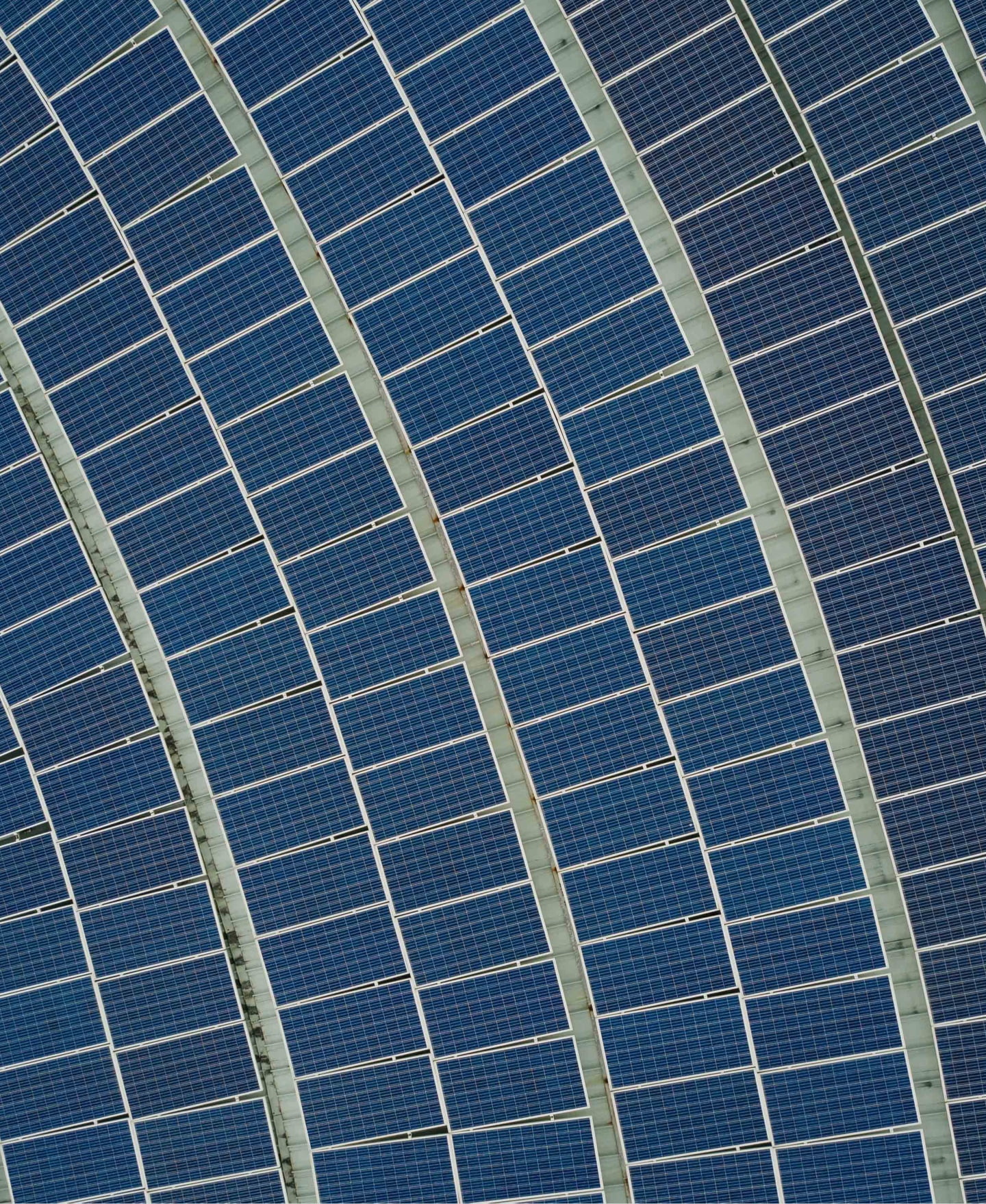 An array of blue solar panels arranged in a curved pattern