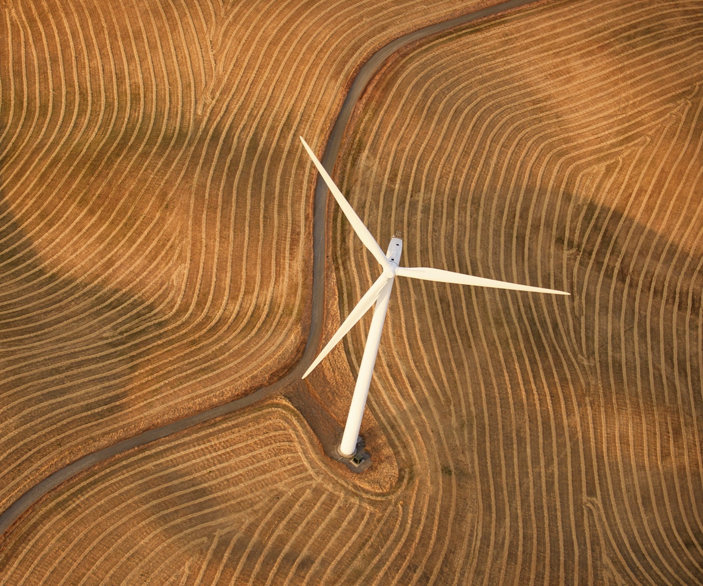 Wind turbine standing in the middle of a piece of agricultural land prepared for planting